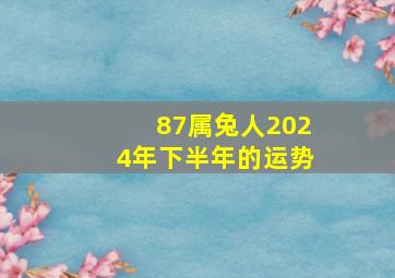 87属兔人2024年下半年的运势