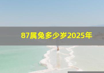 87属兔多少岁2025年