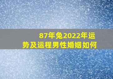 87年兔2022年运势及运程男性婚姻如何