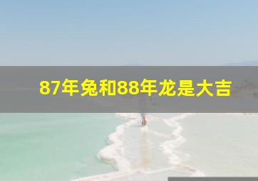 87年兔和88年龙是大吉