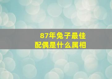 87年兔子最佳配偶是什么属相