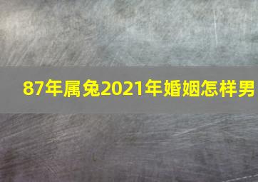 87年属兔2021年婚姻怎样男