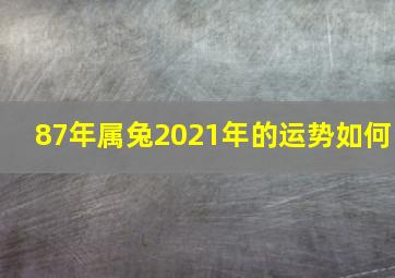 87年属兔2021年的运势如何