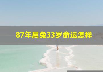 87年属兔33岁命运怎样