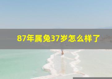 87年属兔37岁怎么样了