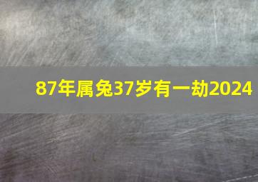 87年属兔37岁有一劫2024