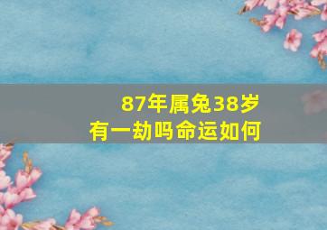 87年属兔38岁有一劫吗命运如何