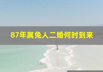 87年属兔人二婚何时到来