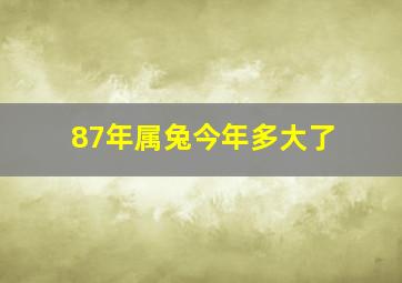 87年属兔今年多大了