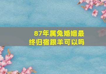 87年属兔婚姻最终归宿跟羊可以吗