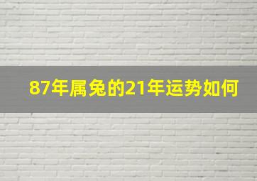 87年属兔的21年运势如何