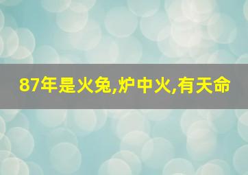 87年是火兔,炉中火,有天命