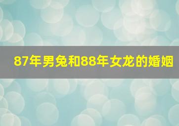 87年男兔和88年女龙的婚姻