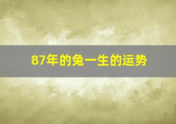 87年的兔一生的运势