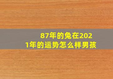 87年的兔在2021年的运势怎么样男孩