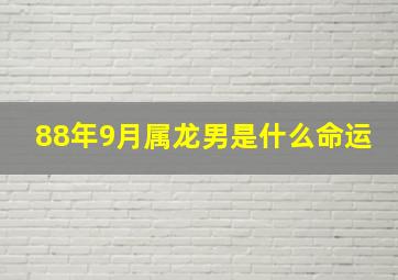 88年9月属龙男是什么命运