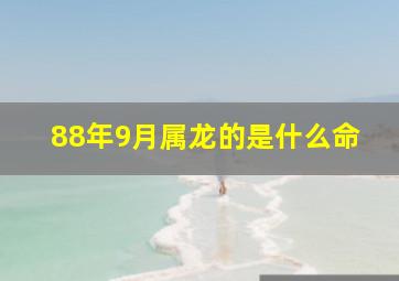 88年9月属龙的是什么命