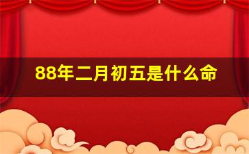 88年二月初五是什么命