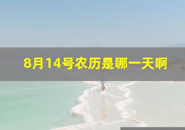 8月14号农历是哪一天啊