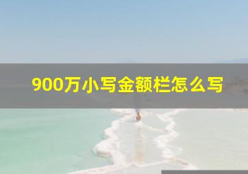 900万小写金额栏怎么写