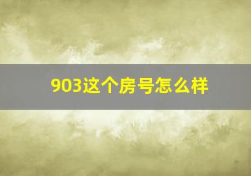 903这个房号怎么样