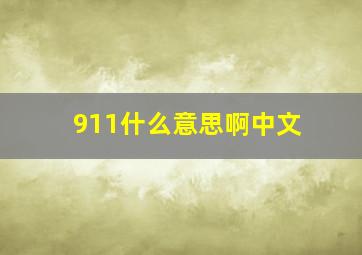 911什么意思啊中文