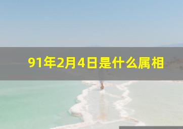 91年2月4日是什么属相