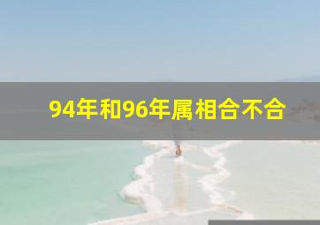 94年和96年属相合不合