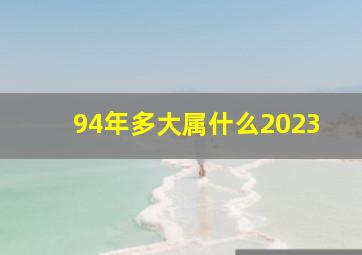 94年多大属什么2023