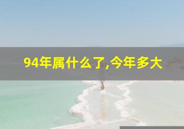 94年属什么了,今年多大