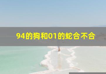 94的狗和01的蛇合不合