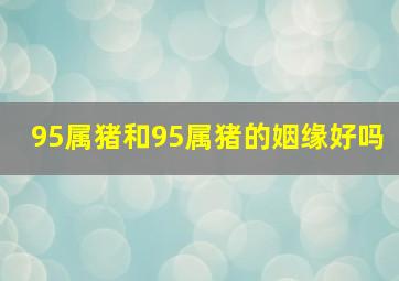 95属猪和95属猪的姻缘好吗