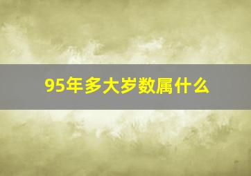 95年多大岁数属什么