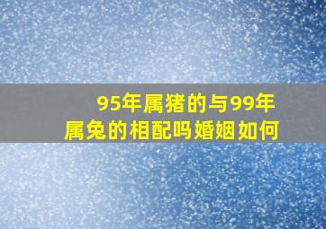 95年属猪的与99年属兔的相配吗婚姻如何