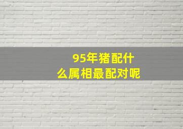 95年猪配什么属相最配对呢