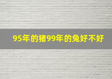 95年的猪99年的兔好不好