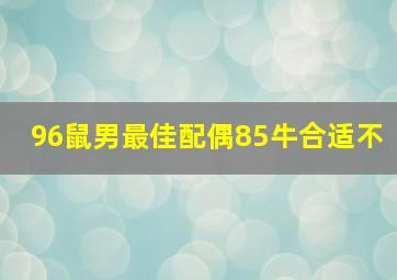 96鼠男最佳配偶85牛合适不