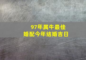 97年属牛最佳婚配今年结婚吉日