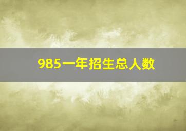 985一年招生总人数