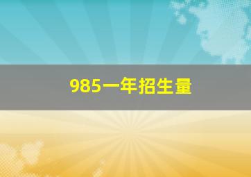 985一年招生量