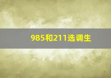 985和211选调生