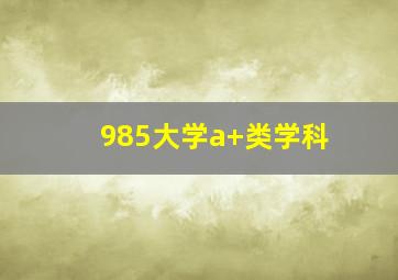 985大学a+类学科