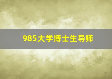 985大学博士生导师