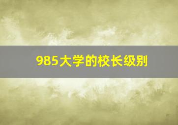 985大学的校长级别