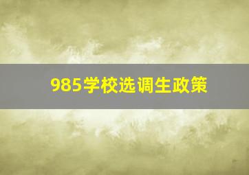 985学校选调生政策