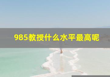 985教授什么水平最高呢