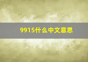 9915什么中文意思