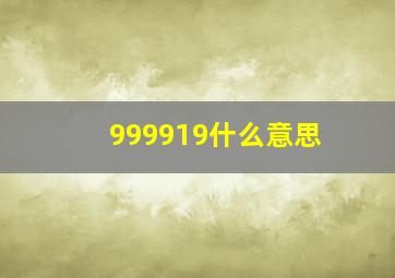 999919什么意思