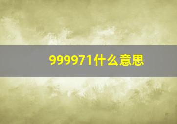 999971什么意思