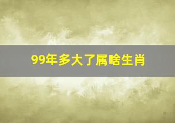 99年多大了属啥生肖